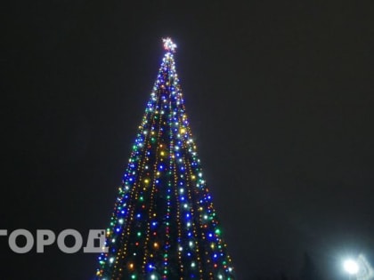 Стало известно, когда в Калуге демонтируют новогодние елки