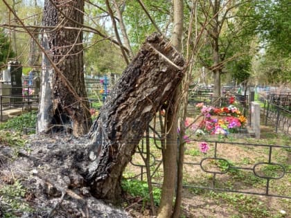 В Малоярославце тушили кладбище