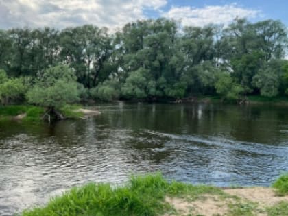 Пропавшую в Кремёнках женщину нашли погибшей