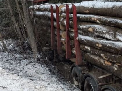 В Калужской области при столкновении с лесовозом пострадал водитель УАЗа