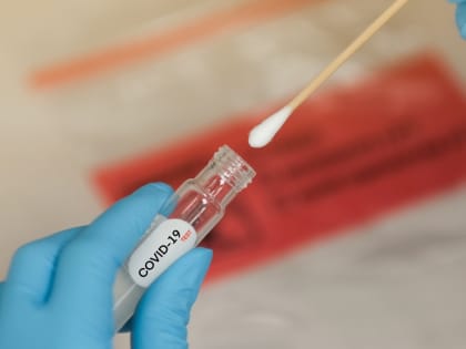 Калужане просят отменить ПЦР-тесты при госпитализации