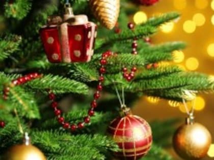 С наступающим Новым 2024 годом и Рождеством!