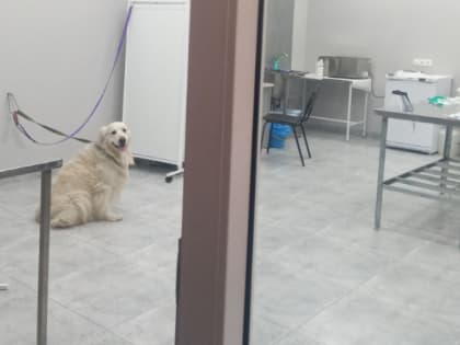 Для ветеринаров провели экскурсию по каньонам