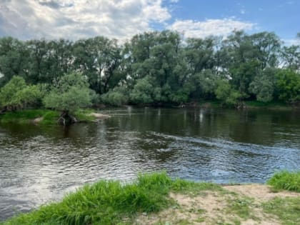 В реке Протве в Жуковском районе обнаружено тело женщины