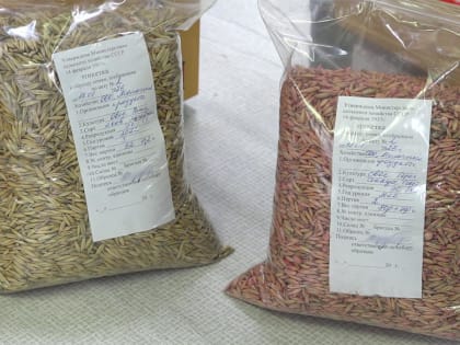 Качество посевного материала будут проверять в Калуге