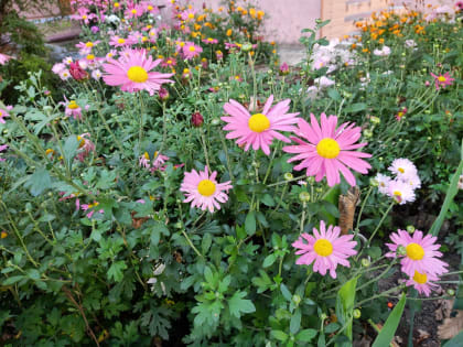 В Калужской области прогнозируют дожди