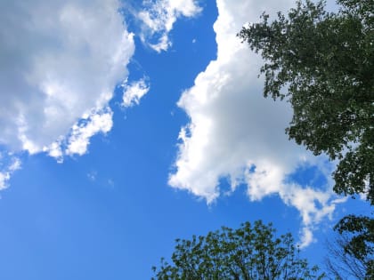 Дожди прогнозируют в Калужской области