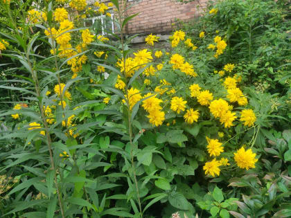 Потепление и дожди прогнозируют в Калужской области