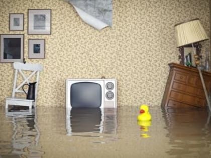 Затопили квартиру: кто ответит?