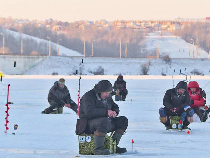 Кубок Калужской области по рыболовному спорту разыграли на Яченском водохранилище