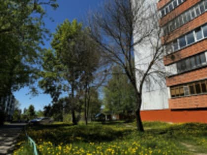 В микрорайоне «Кубяка» сажают цветы и планируют благоустройство