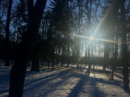 В Калуге 30 января установится пасмурная и холодная погода