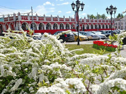 В Калугу пришло долгожданное лето