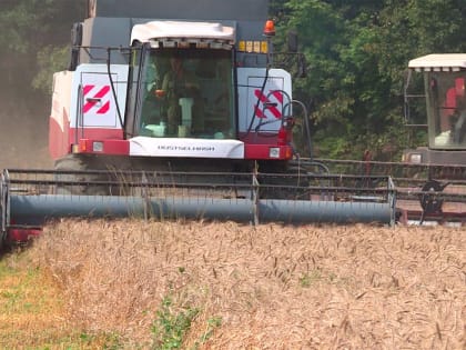 Валовая продукция предприятий Жуковского района выросла до 43 млрд рублей