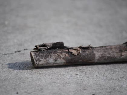 Житель Калужской области избил соседа палкой и подставил к горлу нож