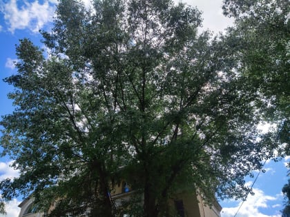 Дожди вернутся в Калужскую область