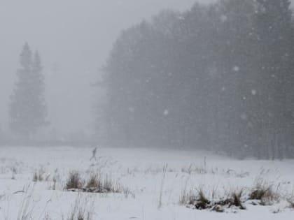 13 февраля в Калужской области обещают сильный ветер и гололедицу