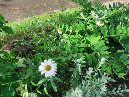 В Калужской области потеплеет на выходных