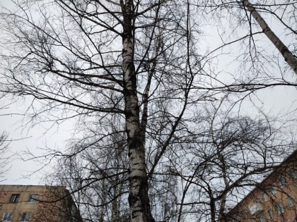 Морозная погода ожидается в Калужской области