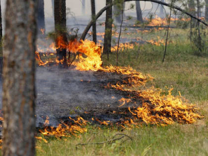 В Калужской области повысили класс пожарной опасности