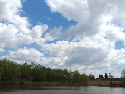 Воскресенье будет чуть прохладней субботы