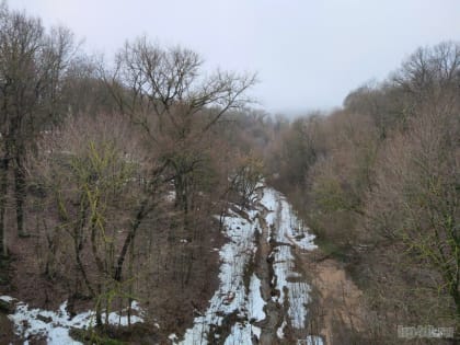 Дожди прогнозируют в Калужской области