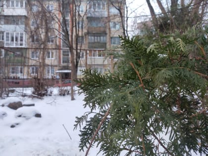 Потепление прогнозируют в Калужской области