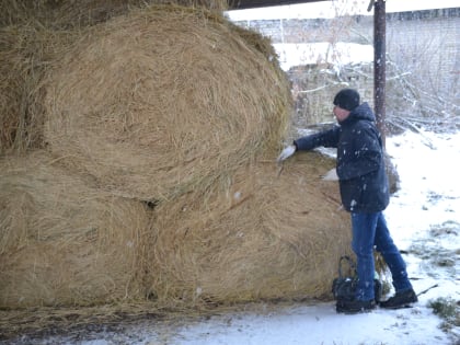 Продолжение эпизоотологического мониторинга