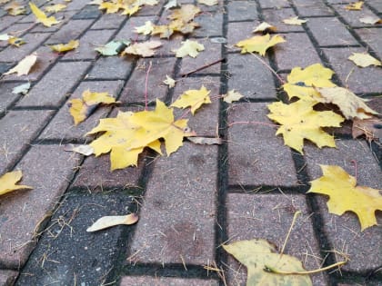 В Калужской области ожидаются дожди