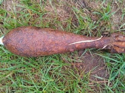 В Калужской области обезвредили минометную мину