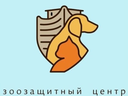 Продолжаем работать