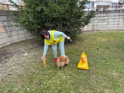 Традиционный весенний субботник прошел в Обнинске