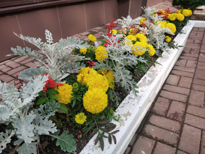 Ливни ожидаются в Калужской области