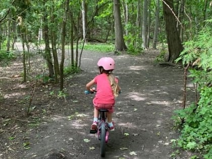 За неделю в Калужской области от укусов клещей пострадали 22 ребёнка