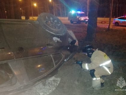 В Калуге водитель «Опеля» сбил лося и перевернулся