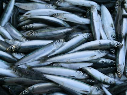 В Калуге резко выросли продажи некоторых продуктов