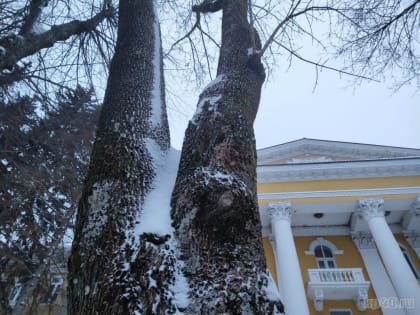 Морозную субботу прогнозируют в Калужской области