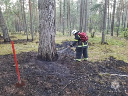 Второй за день лесной пожар произошел в Калужской области