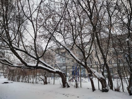 В Калужской области прогнозируют сильные морозы