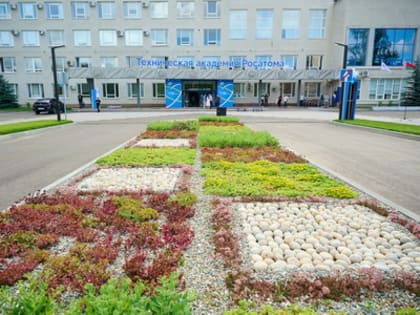 В Обнинске поселилась СОВА