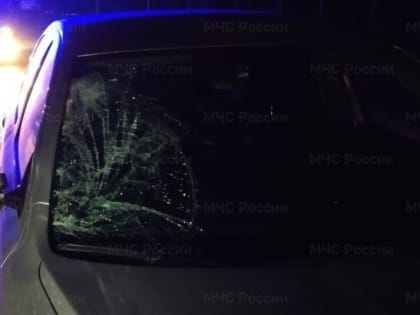 Сбитого в Боровске пешехода срочно доставили в Калугу