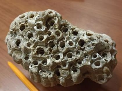 Камешки под ногами