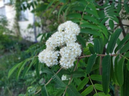 В Калужской области похолодает