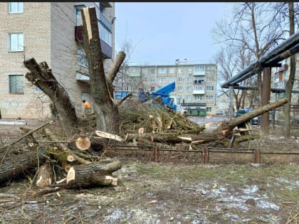 Когда всe в «плюсе»