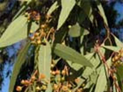 Жителя Калужской области оштрафовали за запуск квадрокоптера