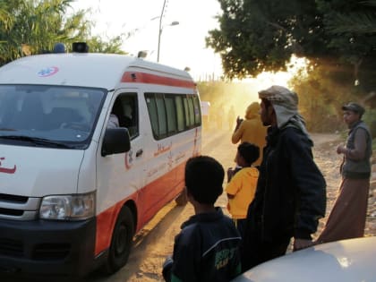 В Египте в деревне Эль-Аликат появилась неизвестная болезнь