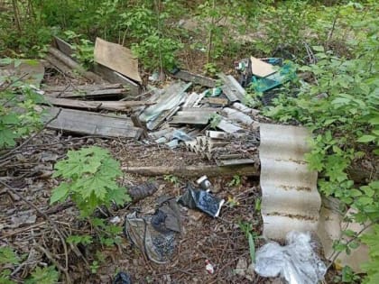 Виновников стихийных свалок будут фиксировать фотокамеры