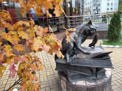 Морозы ожидаются в Калужской области