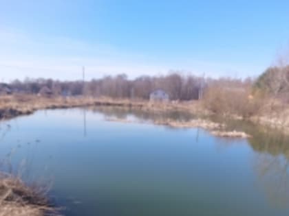 В Жуковском районе утонул 10-летний мальчик