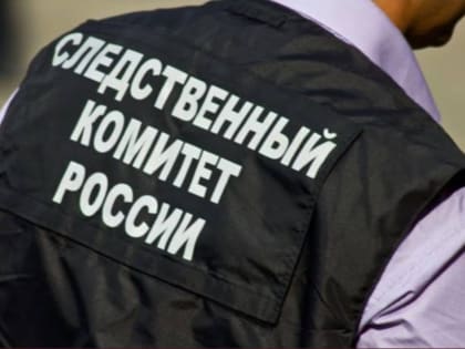 Александр Бастрыкин взял дело о драке калужских школьников на личный контроль